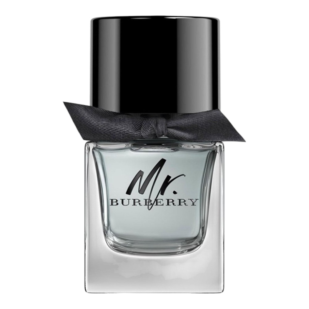 Burberry Mr Burberry